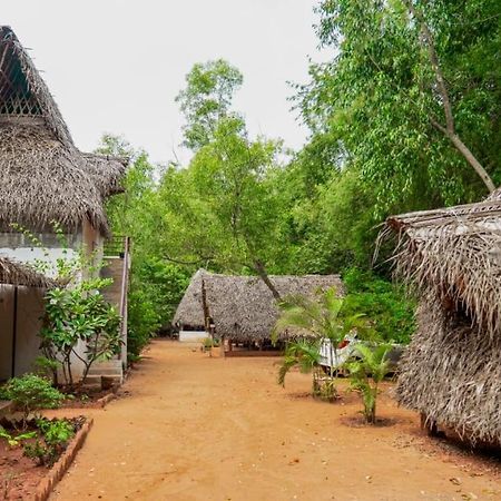 Nebula Nest Cafe & Hostel Auroville Extérieur photo