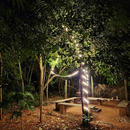 Nebula Nest Cafe & Hostel Auroville Extérieur photo