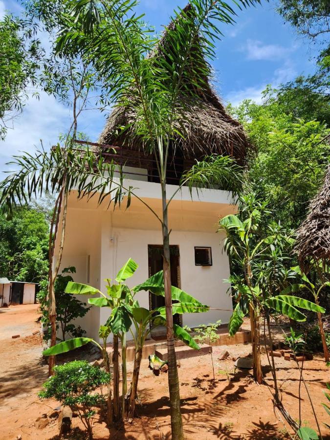 Nebula Nest Cafe & Hostel Auroville Extérieur photo