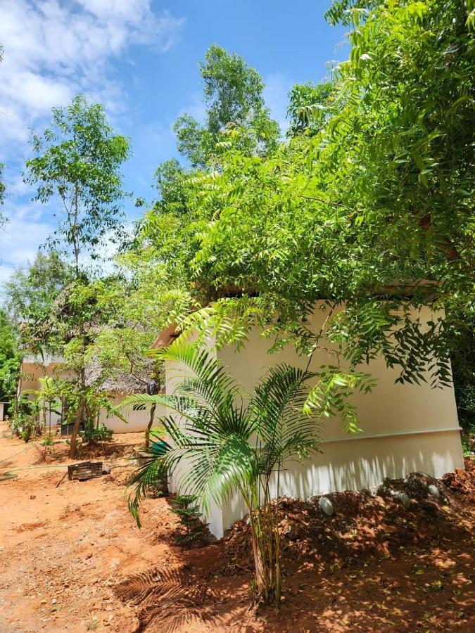 Nebula Nest Cafe & Hostel Auroville Extérieur photo
