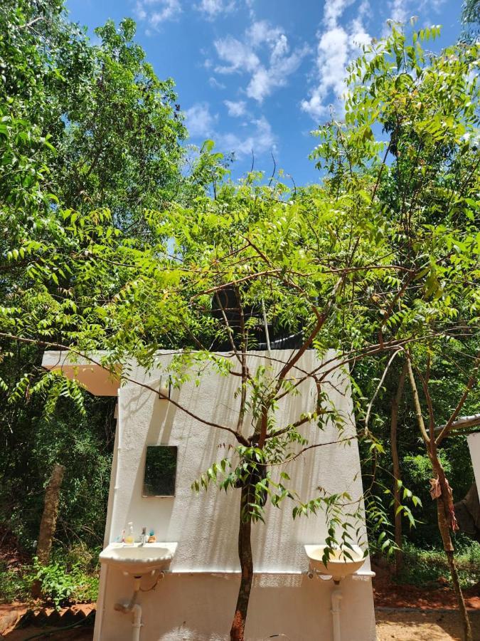 Nebula Nest Cafe & Hostel Auroville Extérieur photo