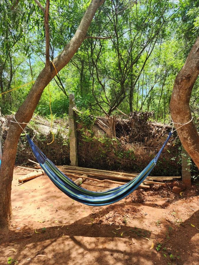 Nebula Nest Cafe & Hostel Auroville Extérieur photo