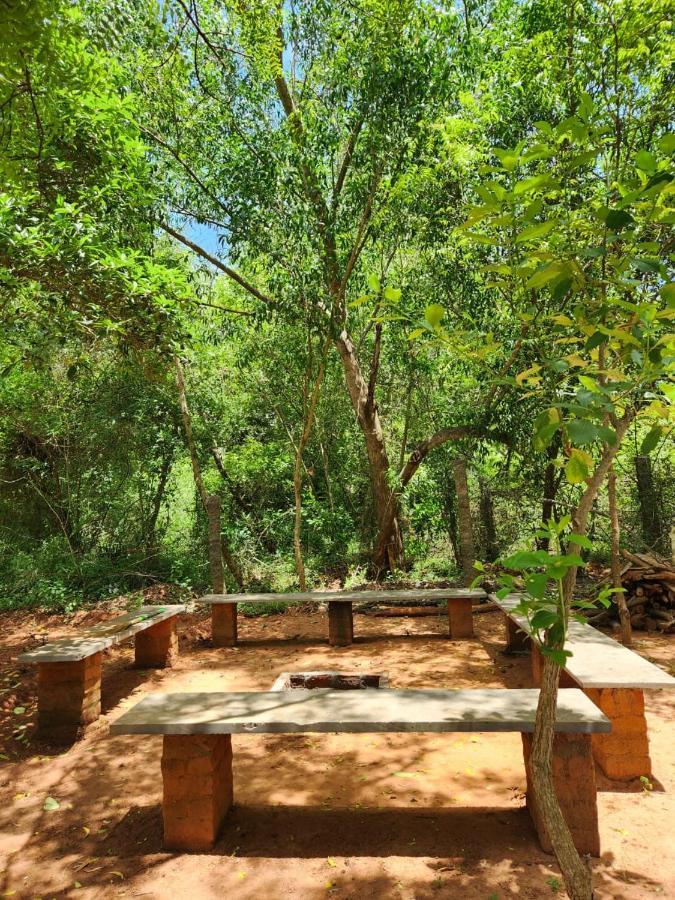 Nebula Nest Cafe & Hostel Auroville Extérieur photo