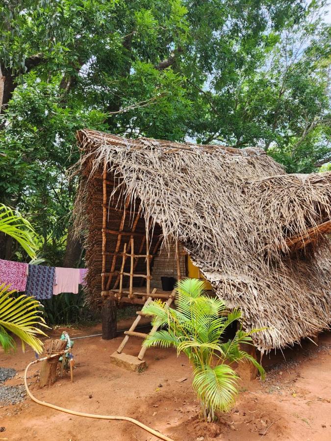 Nebula Nest Cafe & Hostel Auroville Extérieur photo
