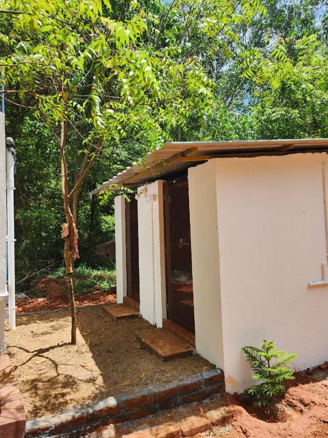 Nebula Nest Cafe & Hostel Auroville Extérieur photo