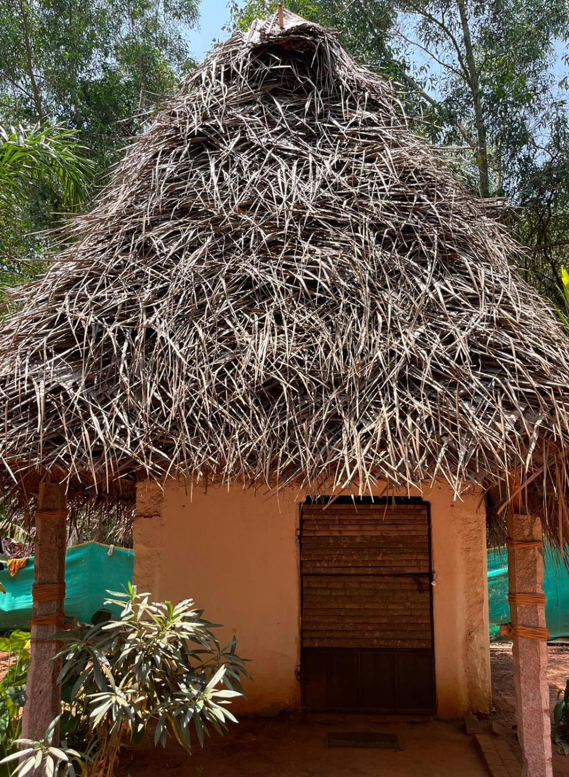 Nebula Nest Cafe & Hostel Auroville Extérieur photo