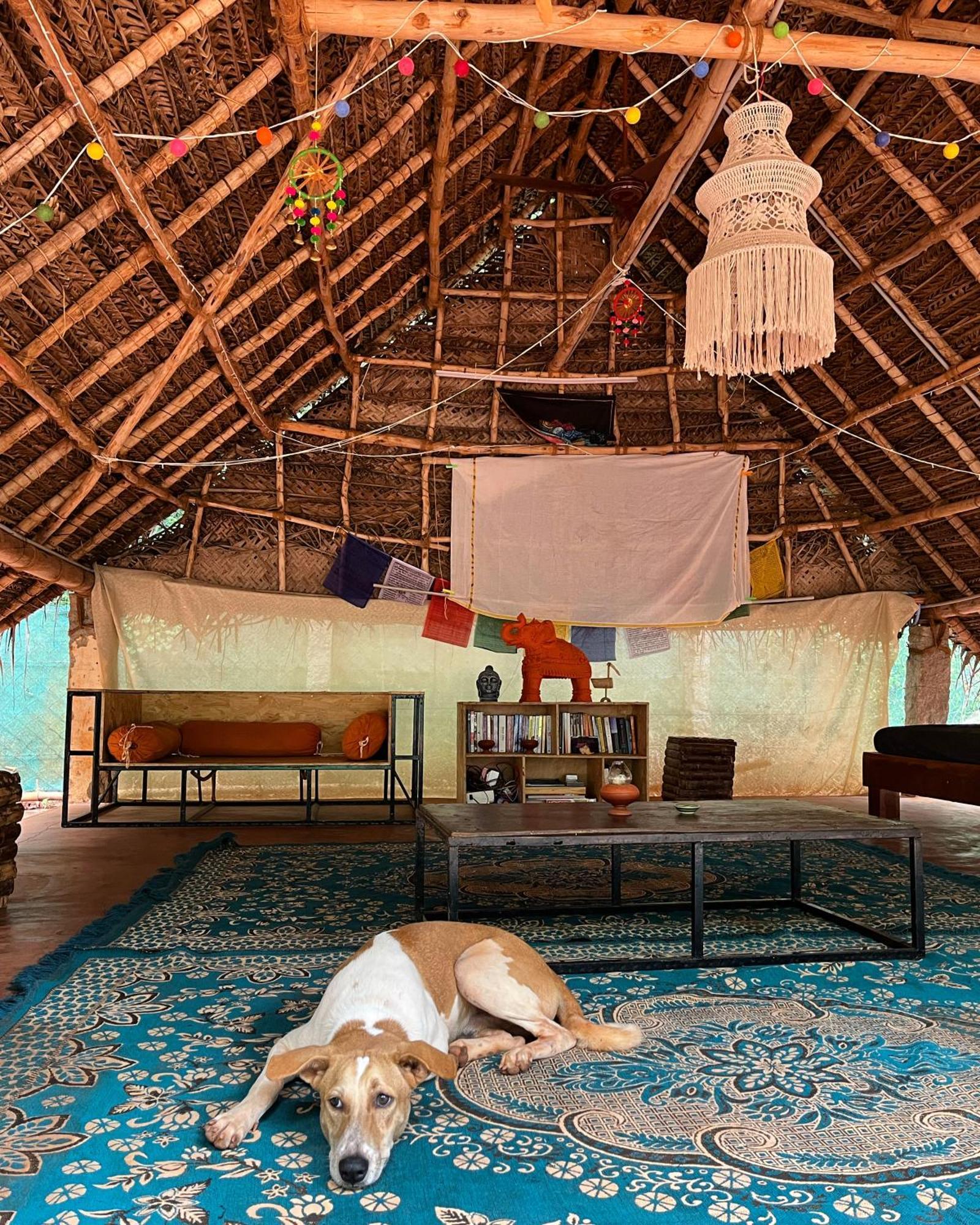 Nebula Nest Cafe & Hostel Auroville Extérieur photo