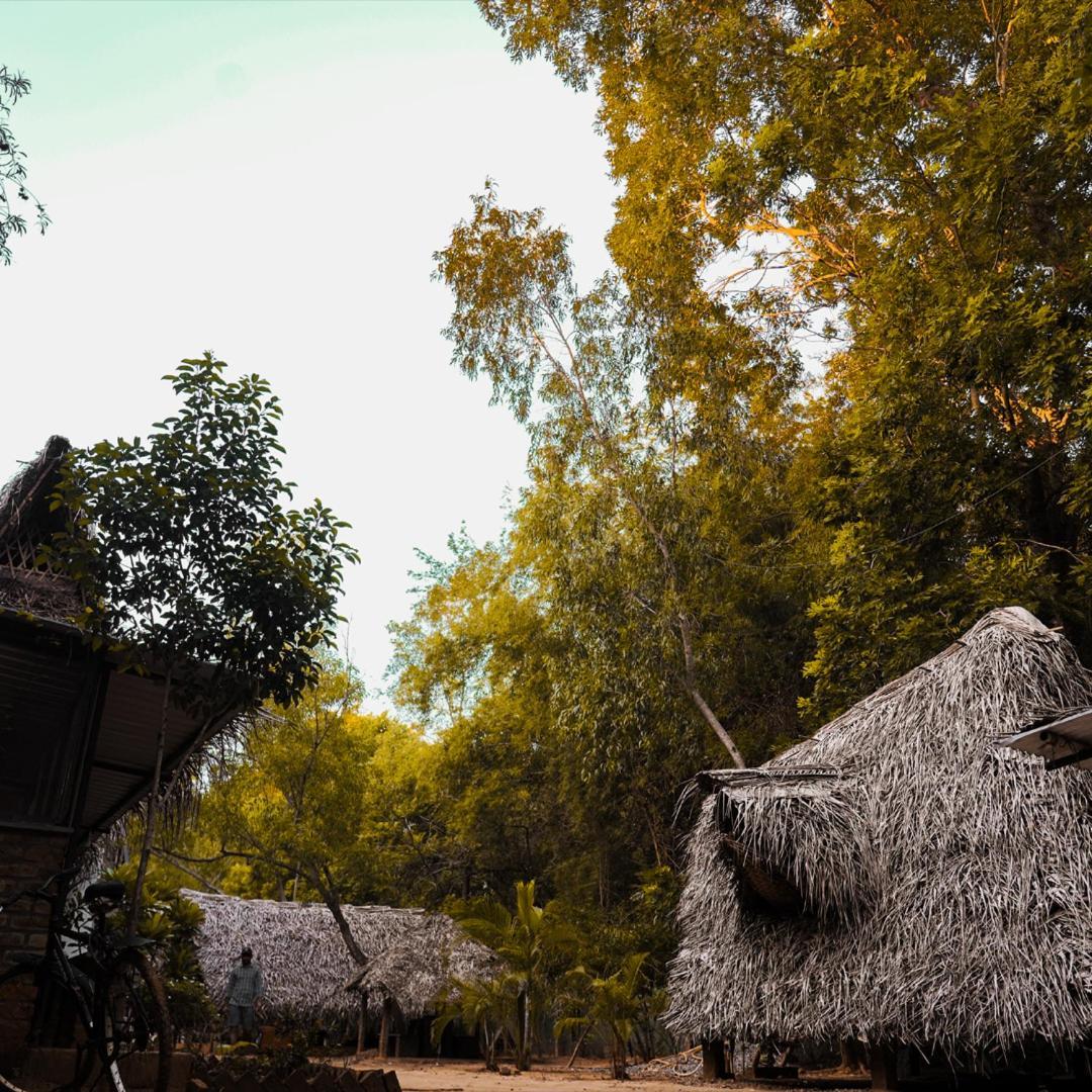 Nebula Nest Cafe & Hostel Auroville Extérieur photo