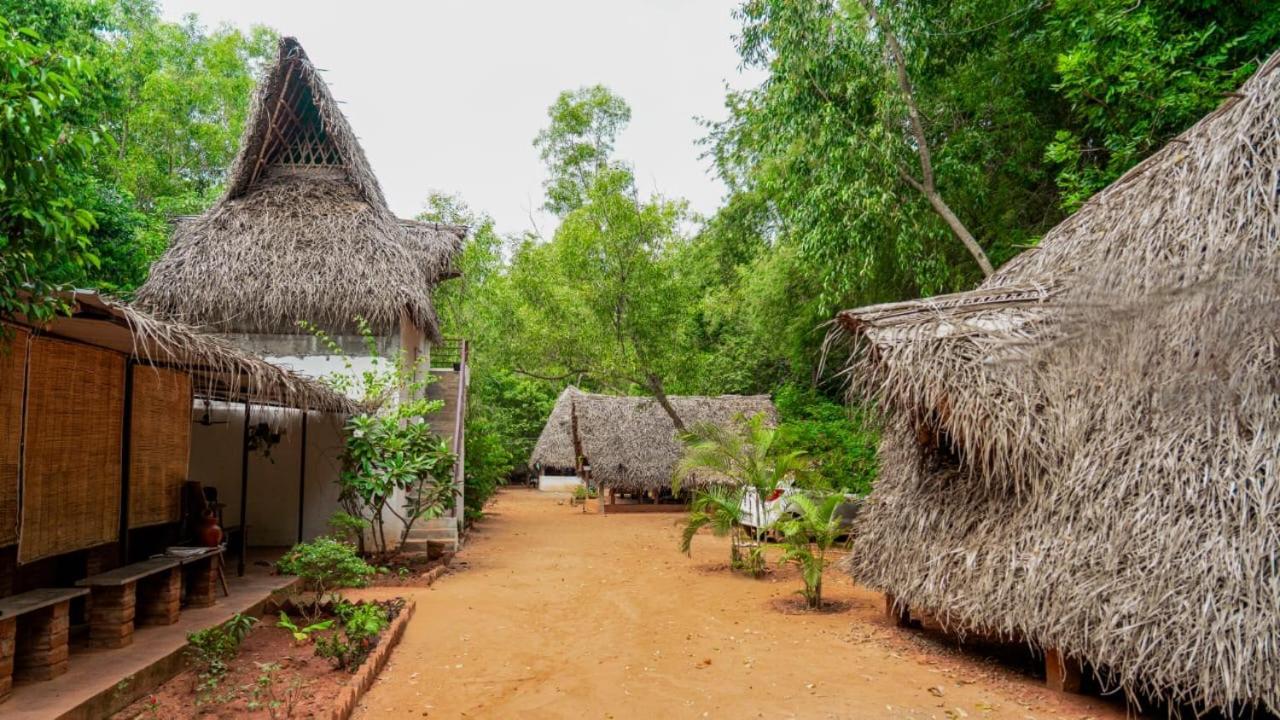 Nebula Nest Cafe & Hostel Auroville Extérieur photo