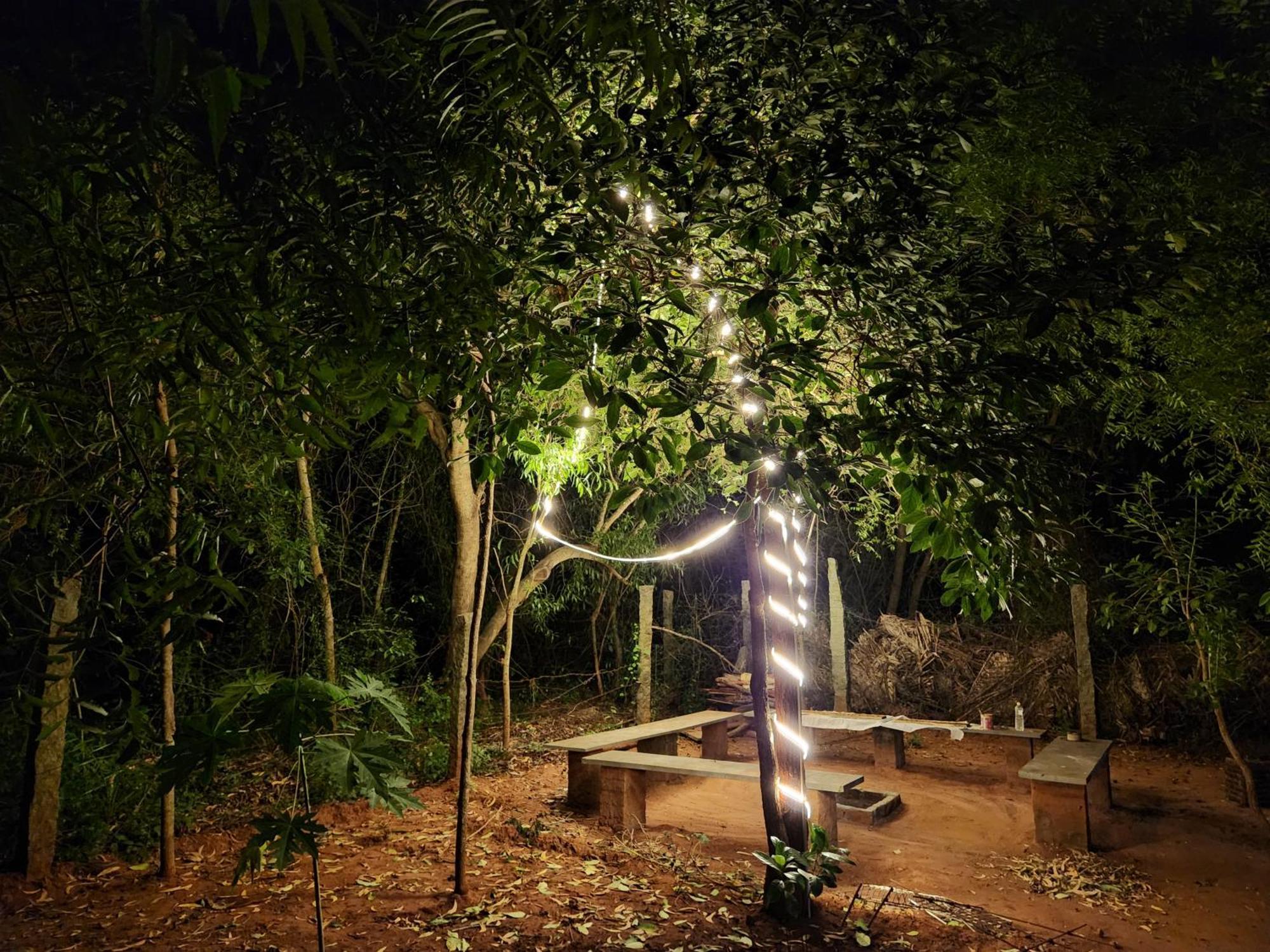 Nebula Nest Cafe & Hostel Auroville Extérieur photo
